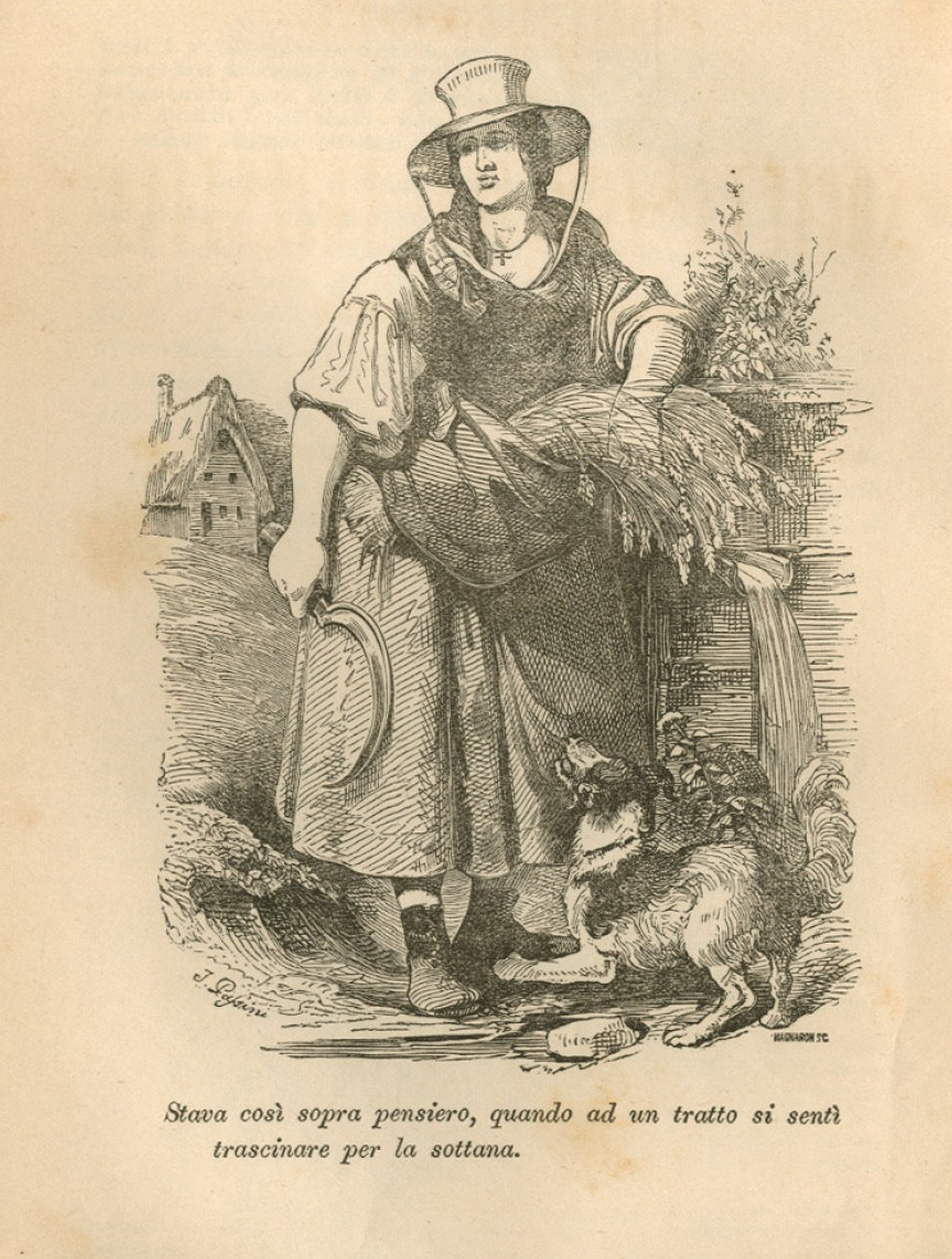  Prizor iz društvene knjižice Pubblicazioni della Società Zoofila Triestina, 1861, 4.