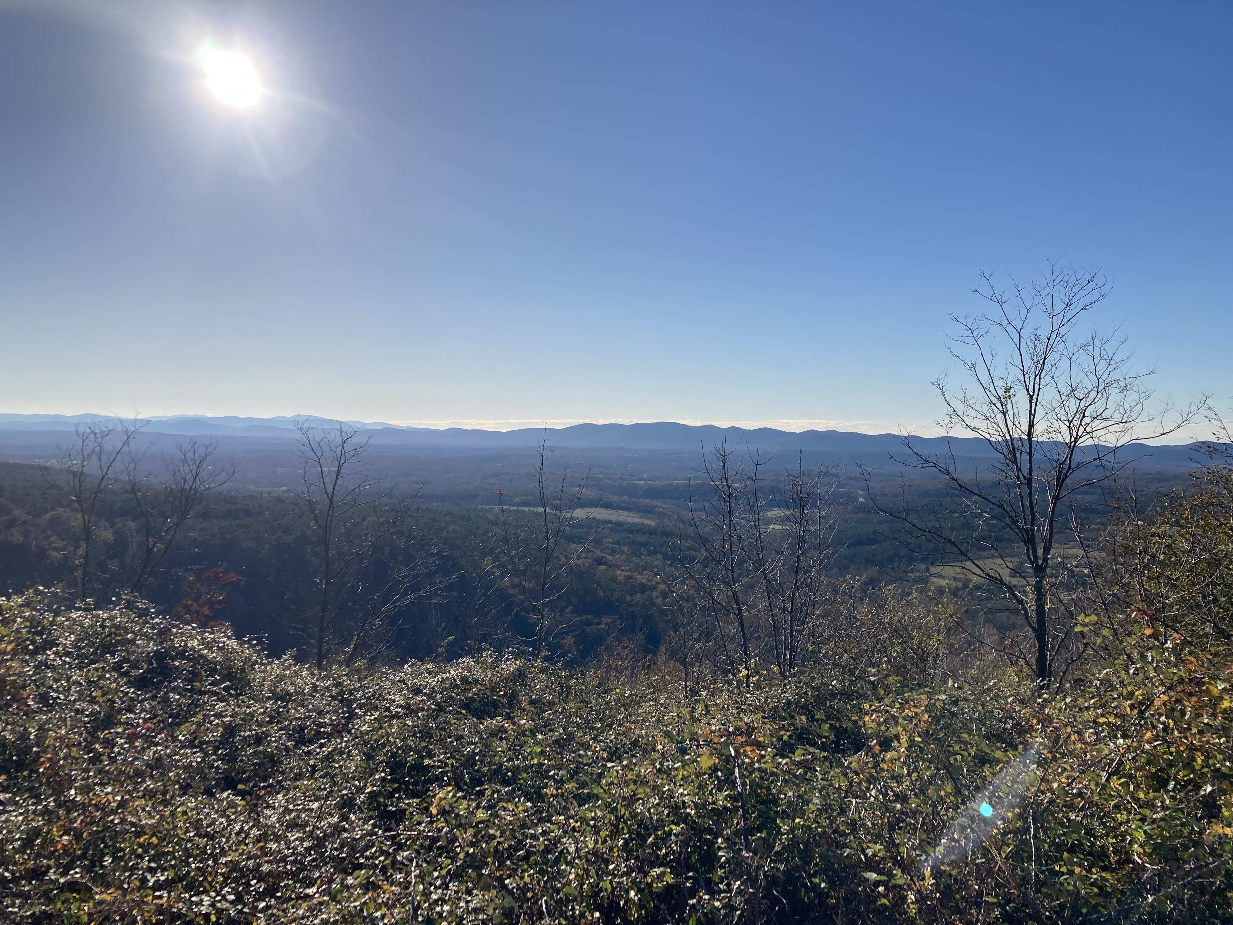 Slika 5: Gozdnata kraška krajina v okolici Pedrove vasi v
            občini Nova Gorica