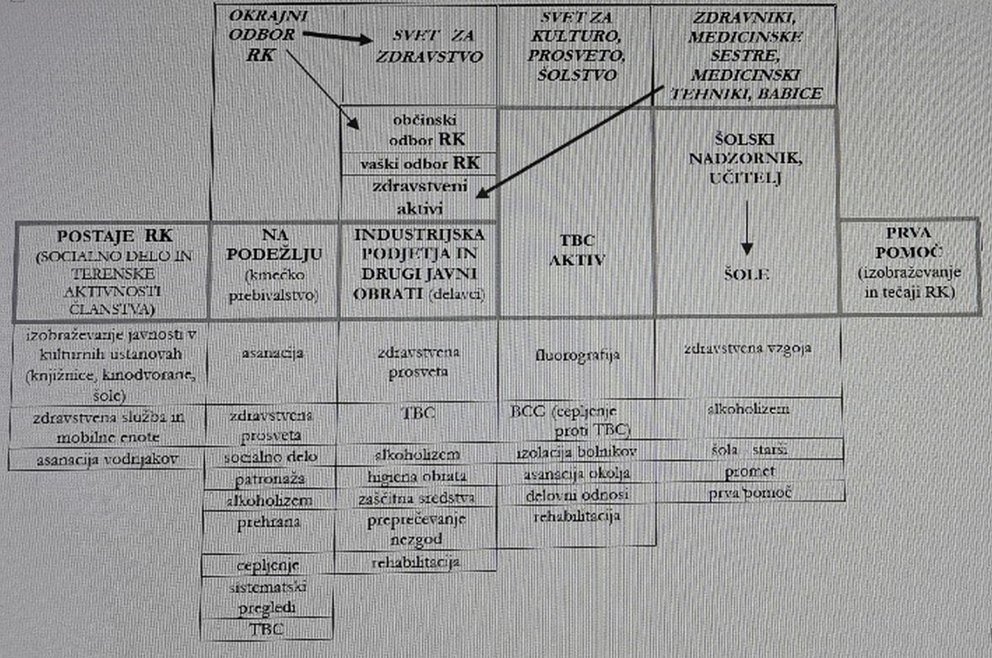 Slika 1: Operativno delovanje RKS na lokalni ravni v letih povojne obnove
                        (razpredelnica je izdelana na osnovi slikovnega organigrama s konca
                        štiridesetih let ali iz petdesetih letih) 