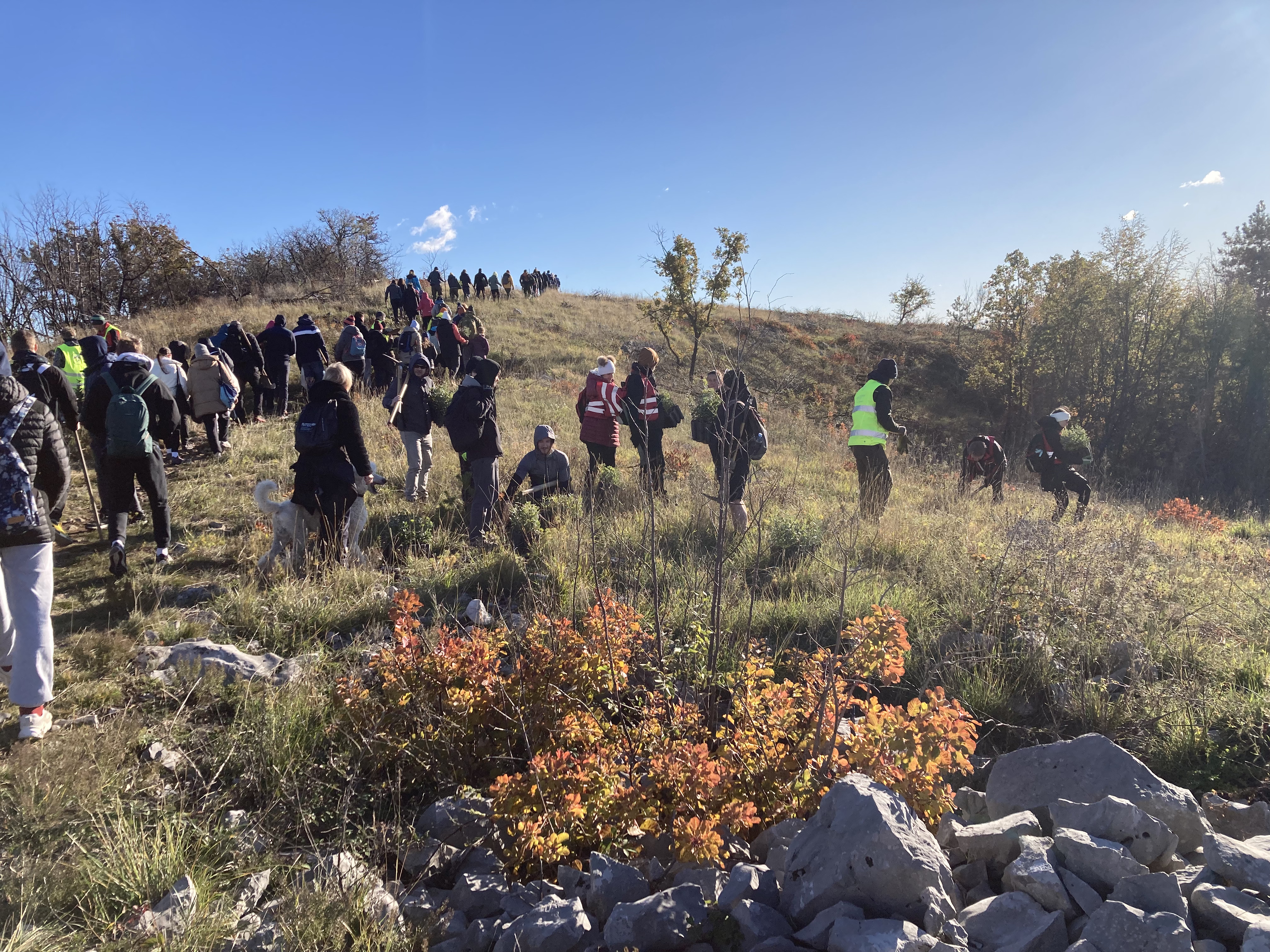 Slika 2: Prostovoljci na pogozdovalni akciji