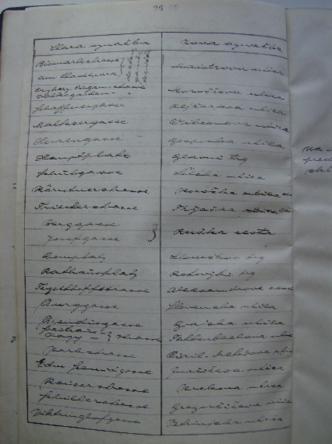 Slika
                        1: Seznam starih in novih poimenovanj cest in ulic v Mariboru v zapisniku V.
                        seje mestnega sosveta