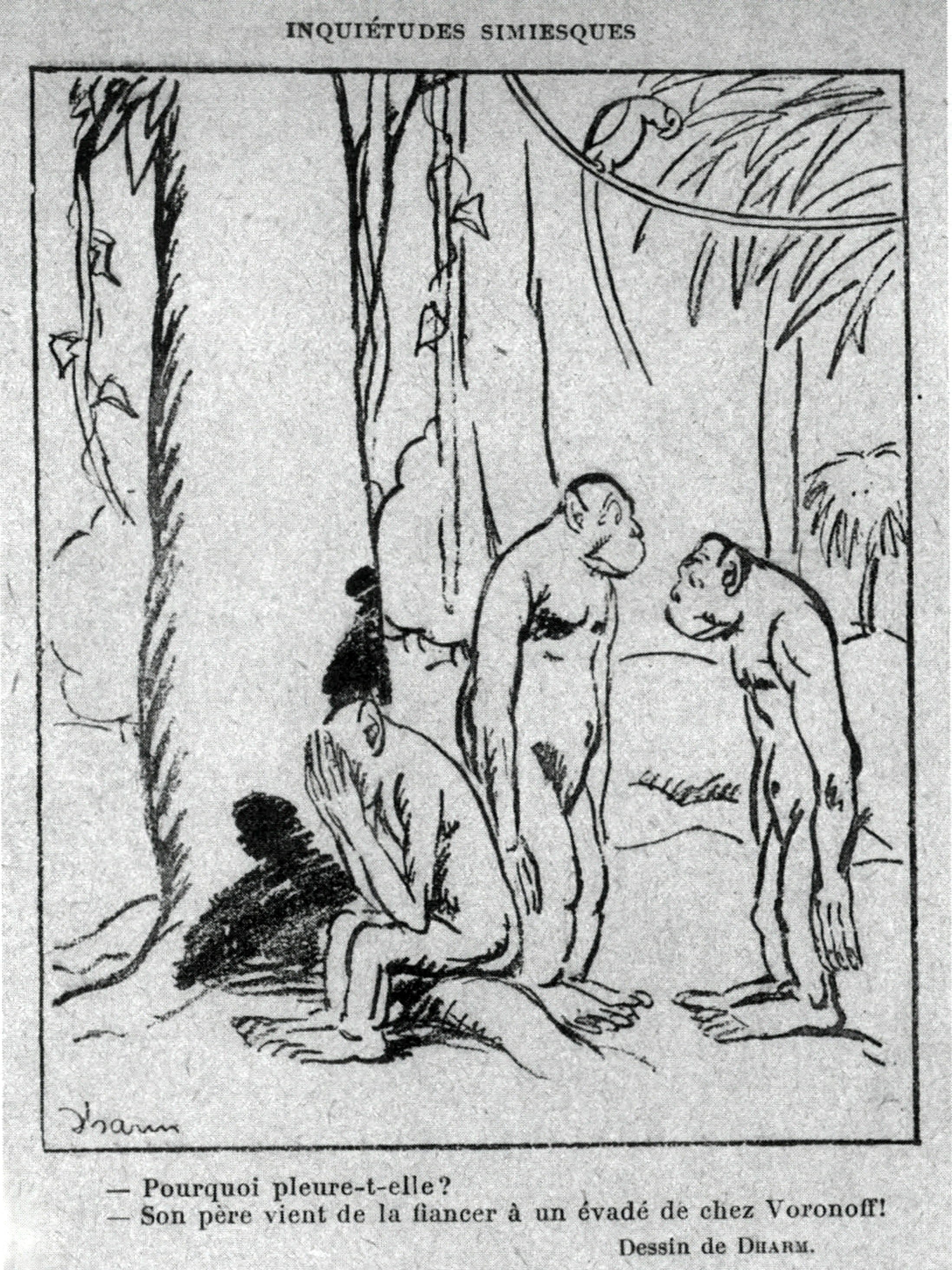 Slika 1: »Zakaj se joče?« »Oče jo je obljubil v zakon enemu, ki je
                            pobegnil Voronoffu.«