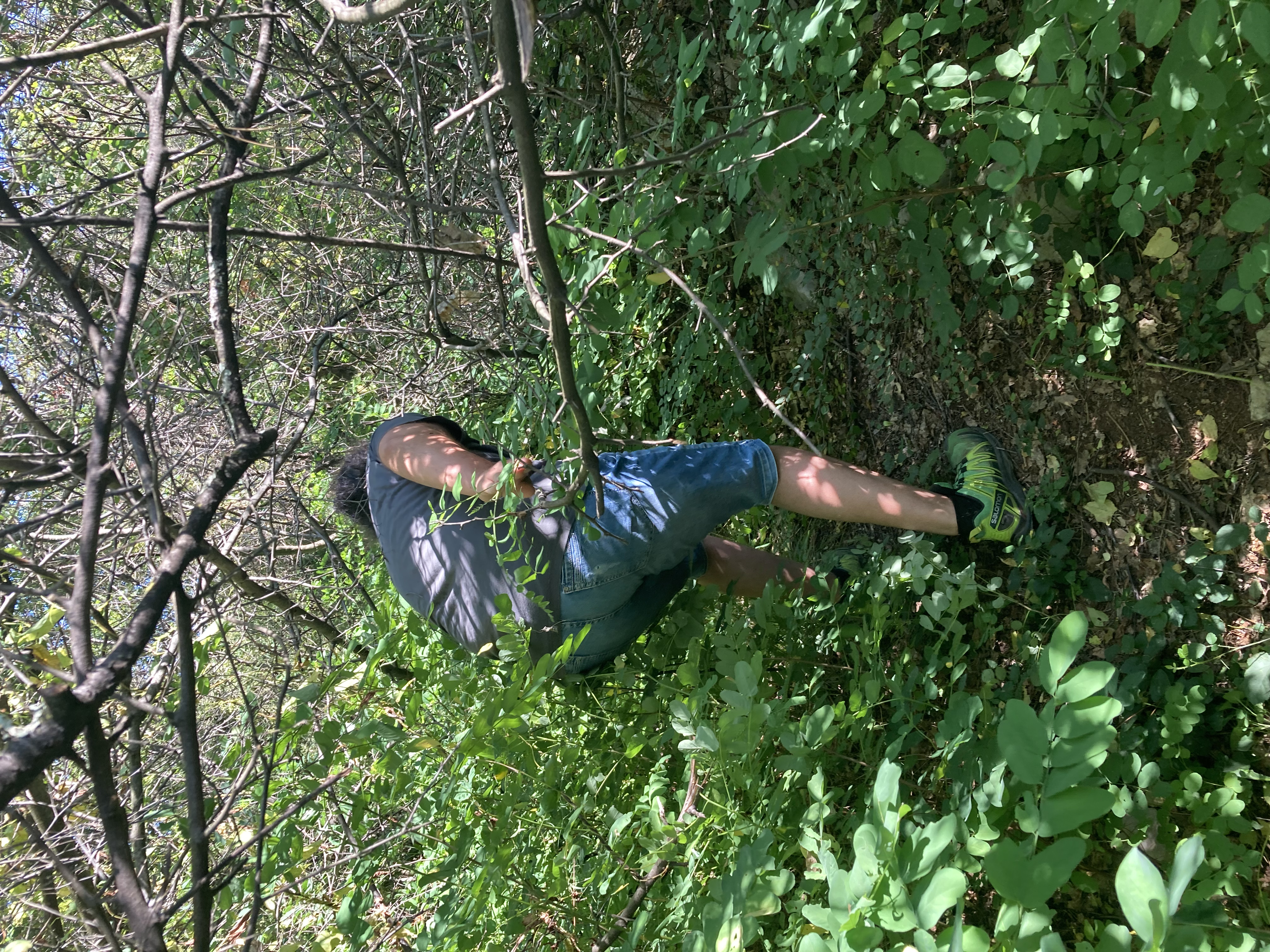 Slika 4: Pohod z gospodom F. L. po zaraščenih poteh, ki so
            bile v sogovornikovih otroških letih z lahkoto dosegljive